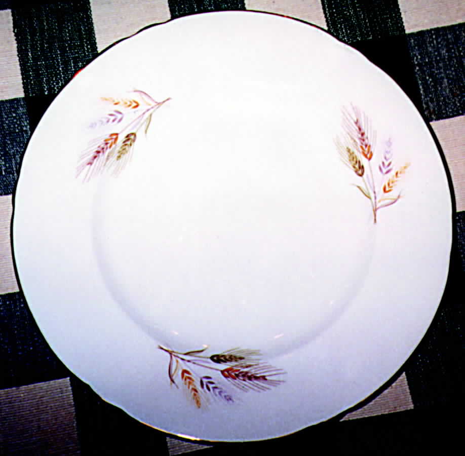SHE12 Dinner Plate by Shelley-1