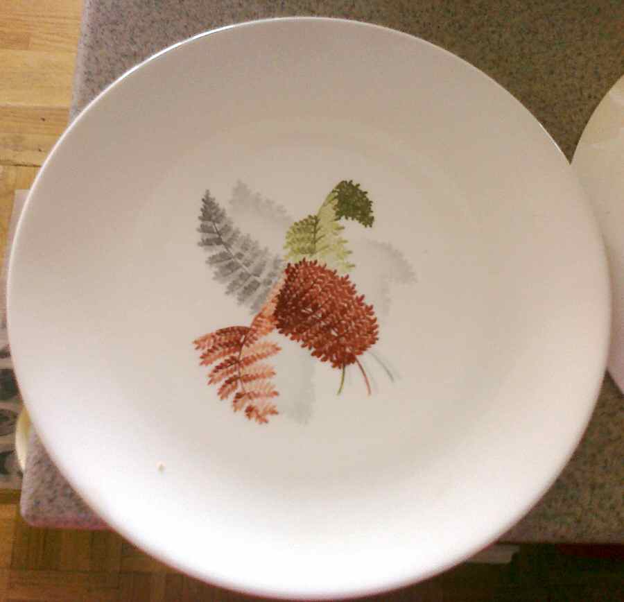 STB97 Dinner Plate by Steubenville-1