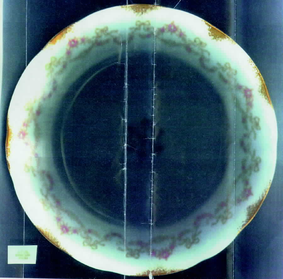 SY266 Dinner Plate by Syracuse-1