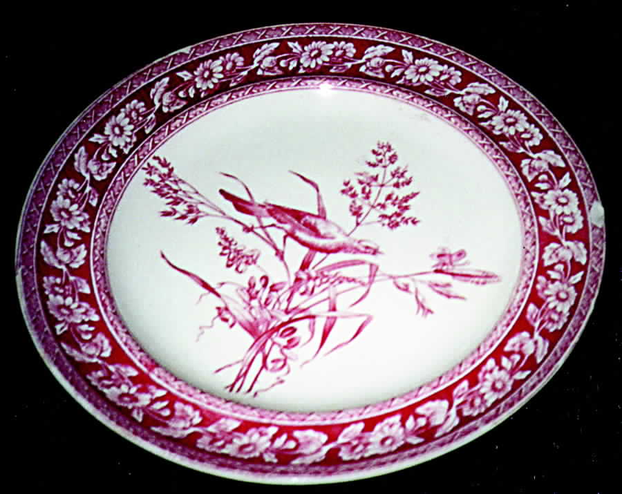 SP100 Dinner Plate by Spode-1