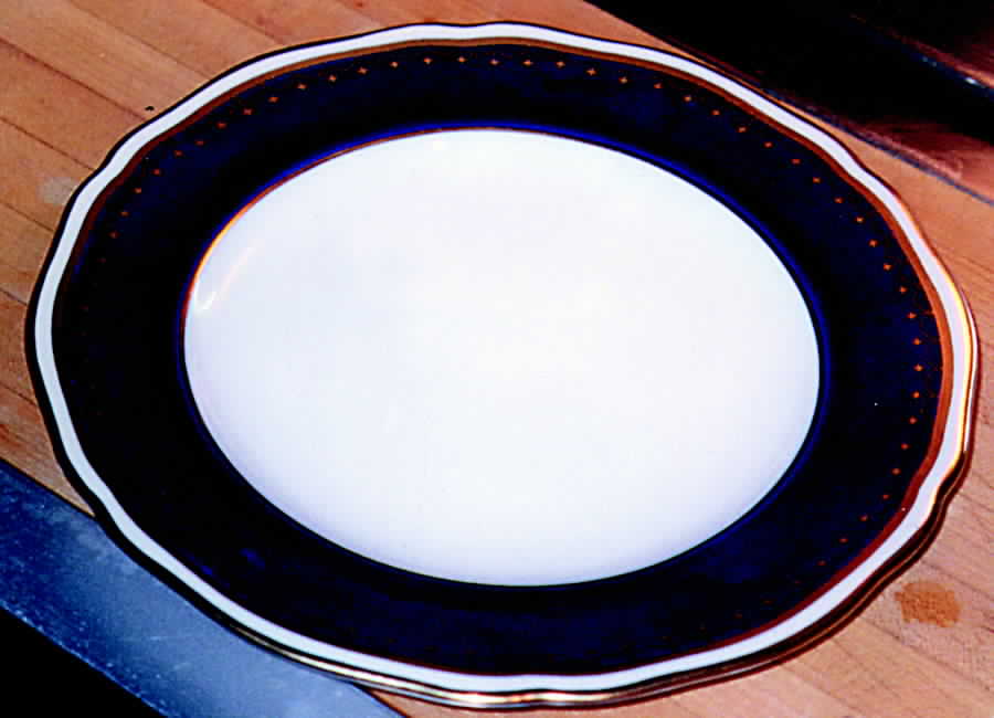 Y4910 Dinner Plate by Spode-1
