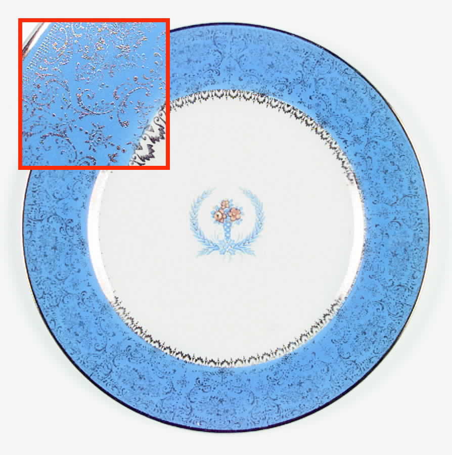 SLM113 Dinner Plate by Salem-1