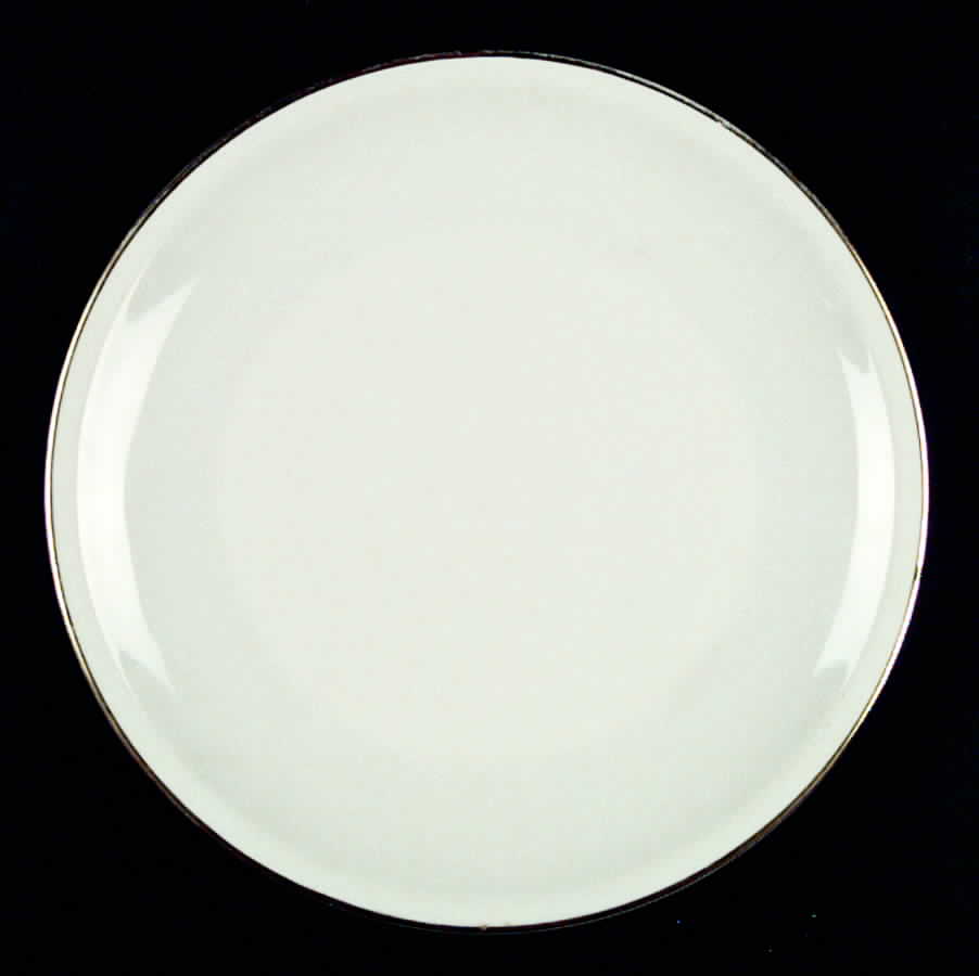 SCG6 Dinner Plate by Schirnding-1