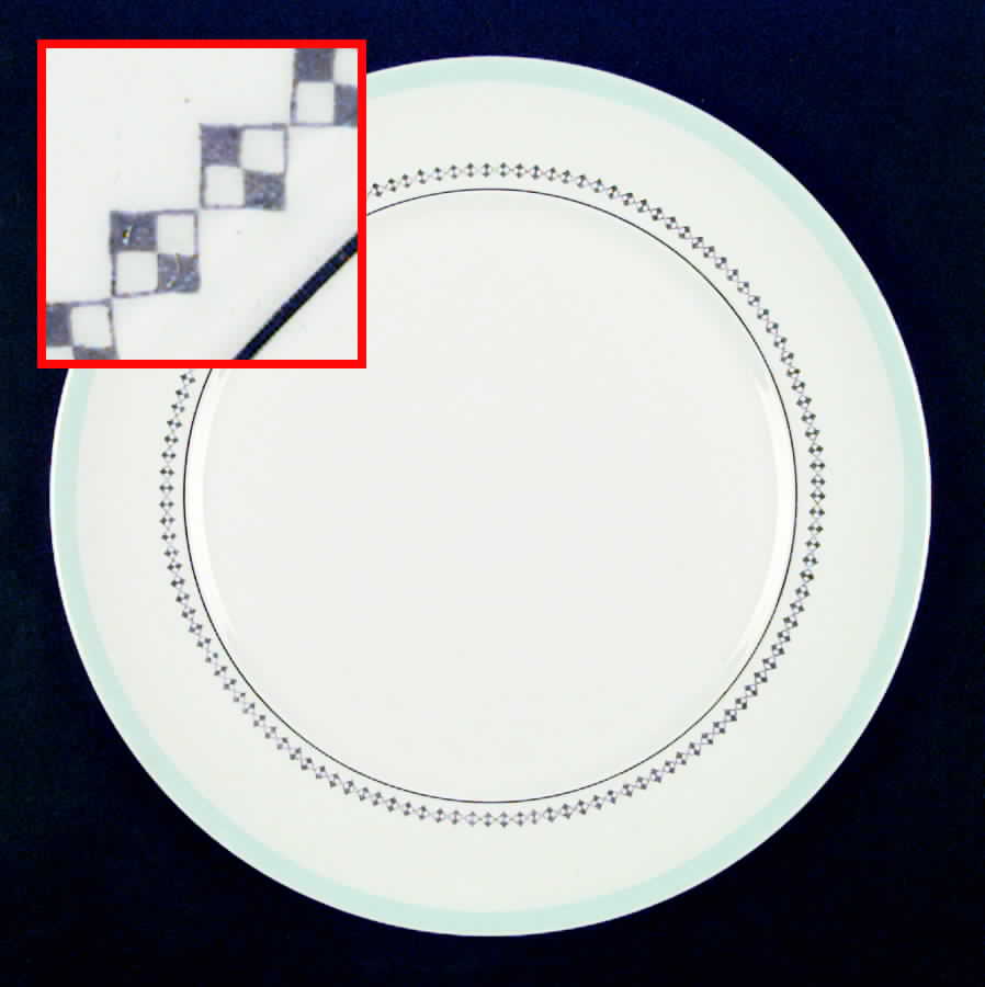 SLM114 Dinner Plate by Salem-1