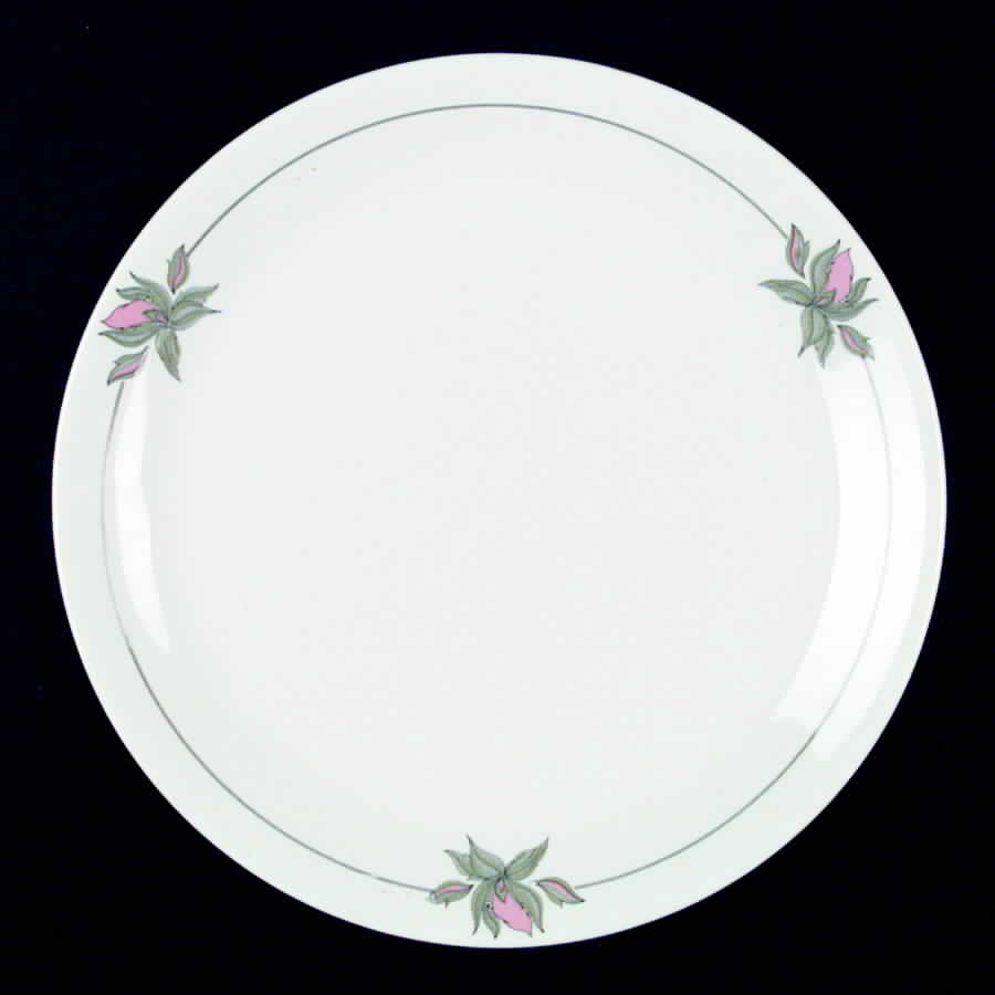SY269 Dinner Plate by Syracuse-1