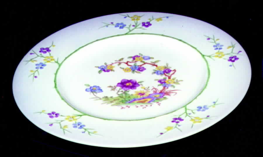 42517 Dinner Plate by Spode-1