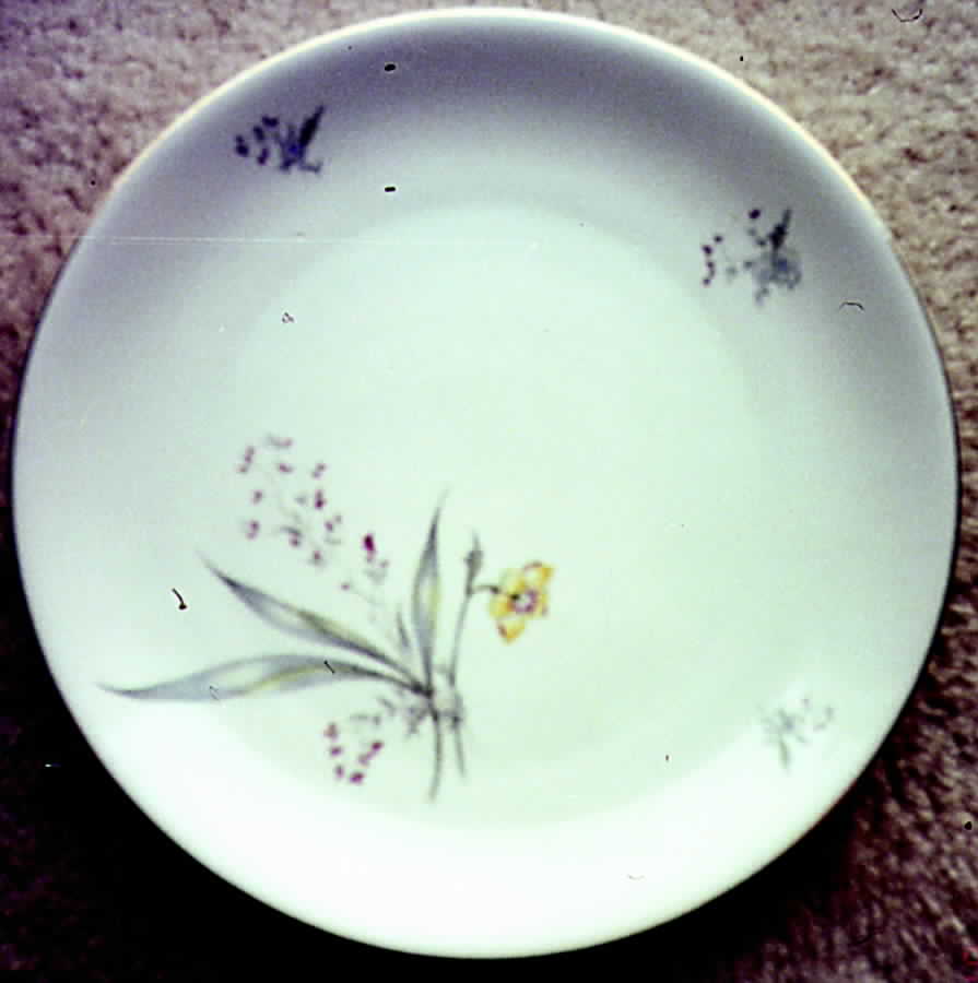 08889 Dinner Plate by Scherzer-1