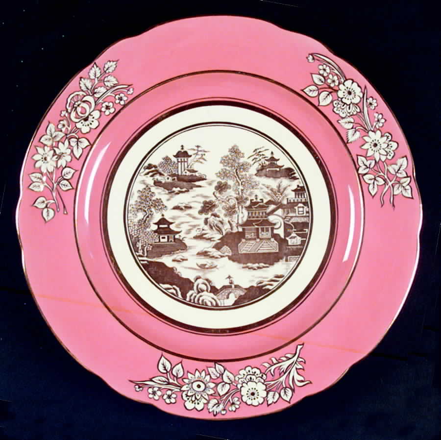 Y5333 Dinner Plate by Spode-1