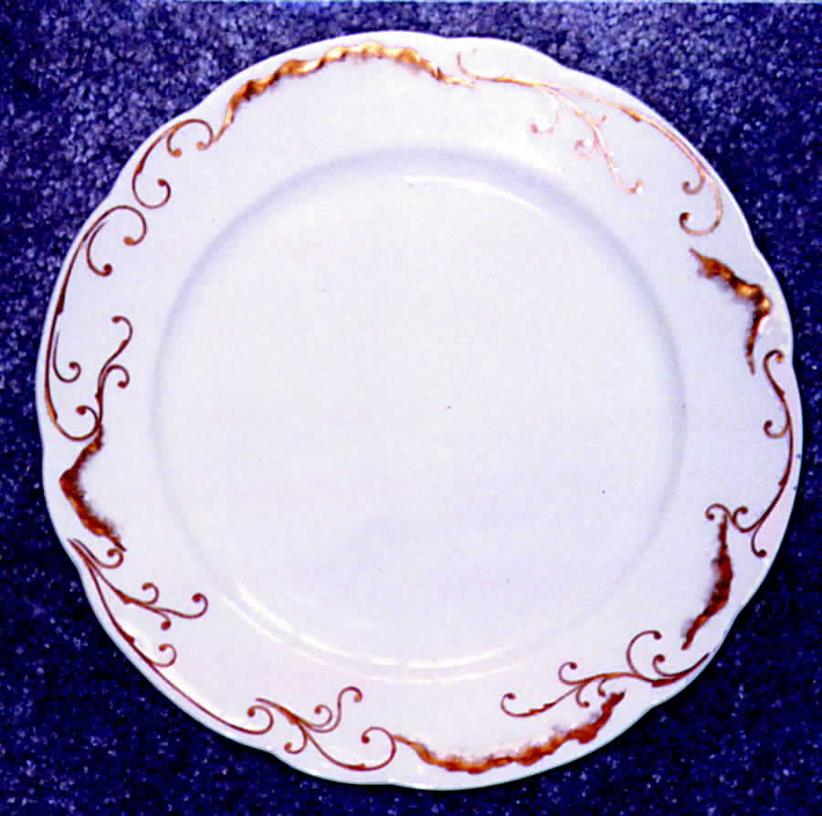 SY271 Dinner Plate by Syracuse-1