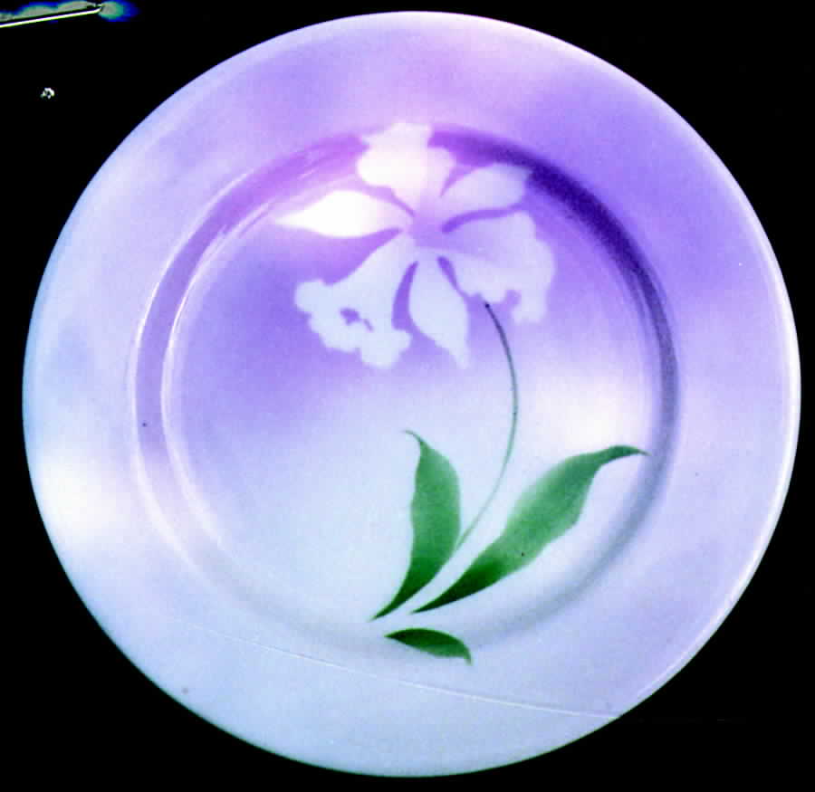 SY273 Dinner Plate by Syracuse-1