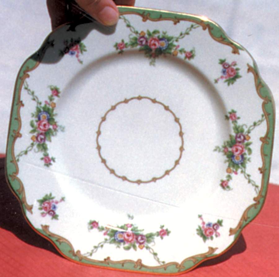 SCL11 Square Salad Plate by Schlaggenwald-1
