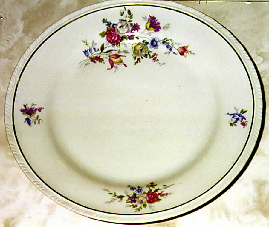 SCD12 Dinner Plate by Schonwald-1