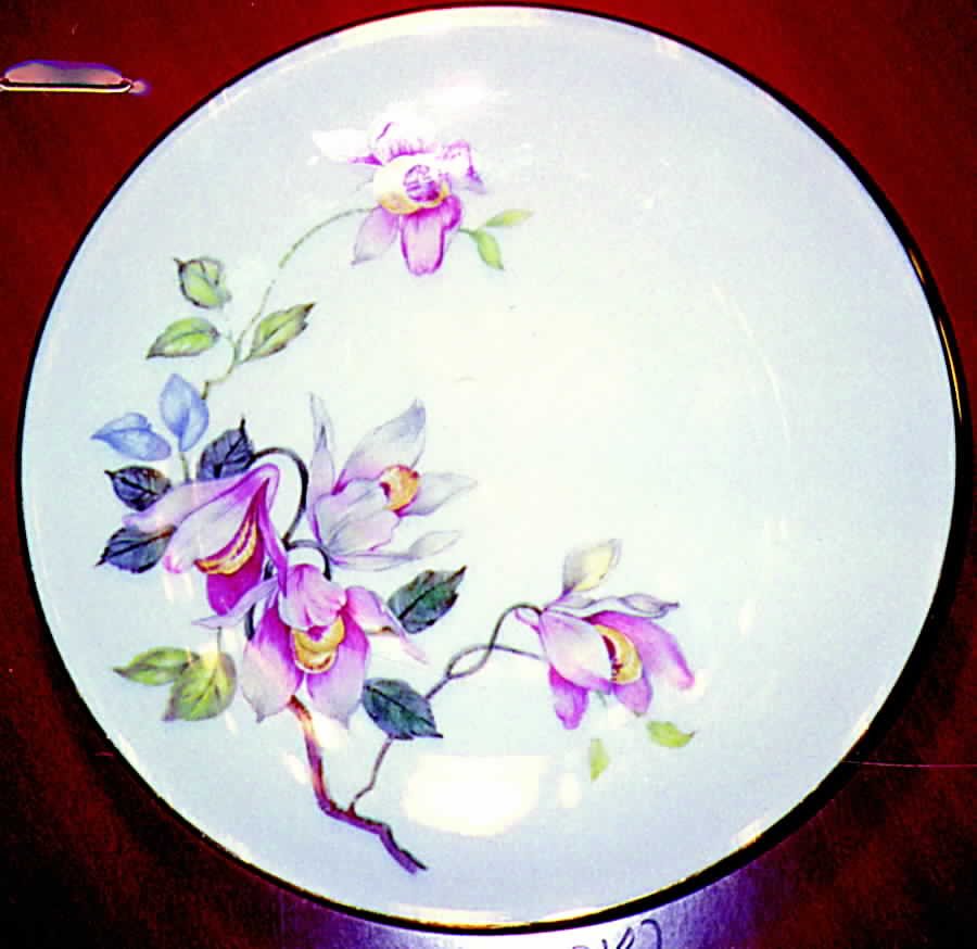 08001 Dinner Plate by Scherzer-1