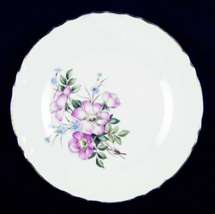SC4 Salad Plate by SCIO-1