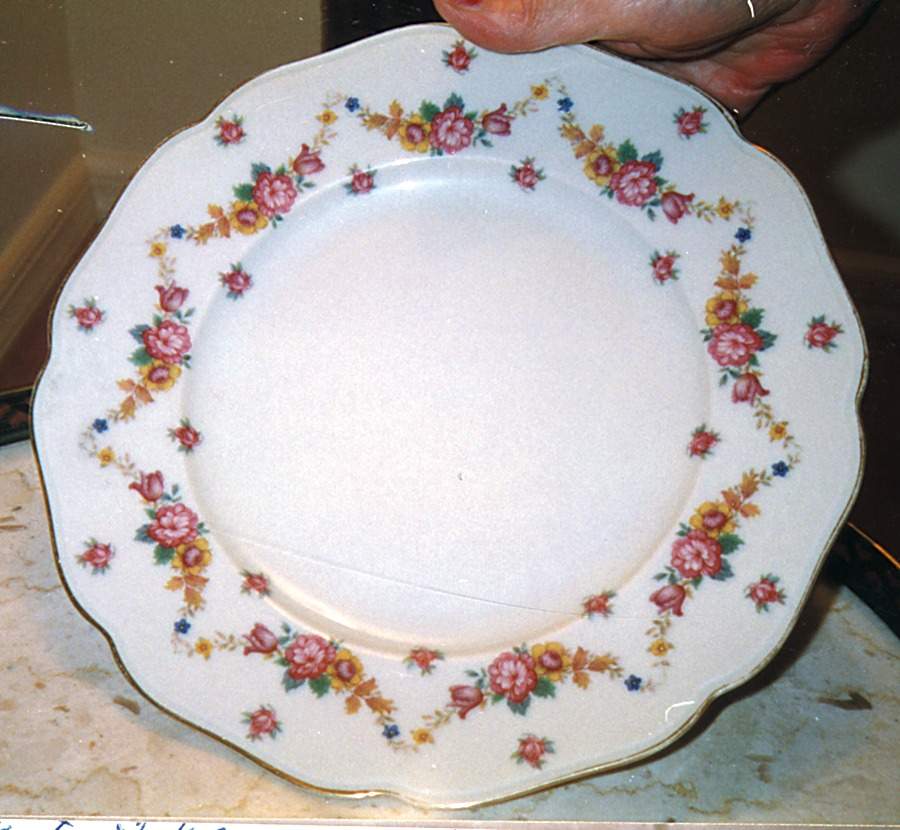 SCL14 Salad Plate by Schlaggenwald-1