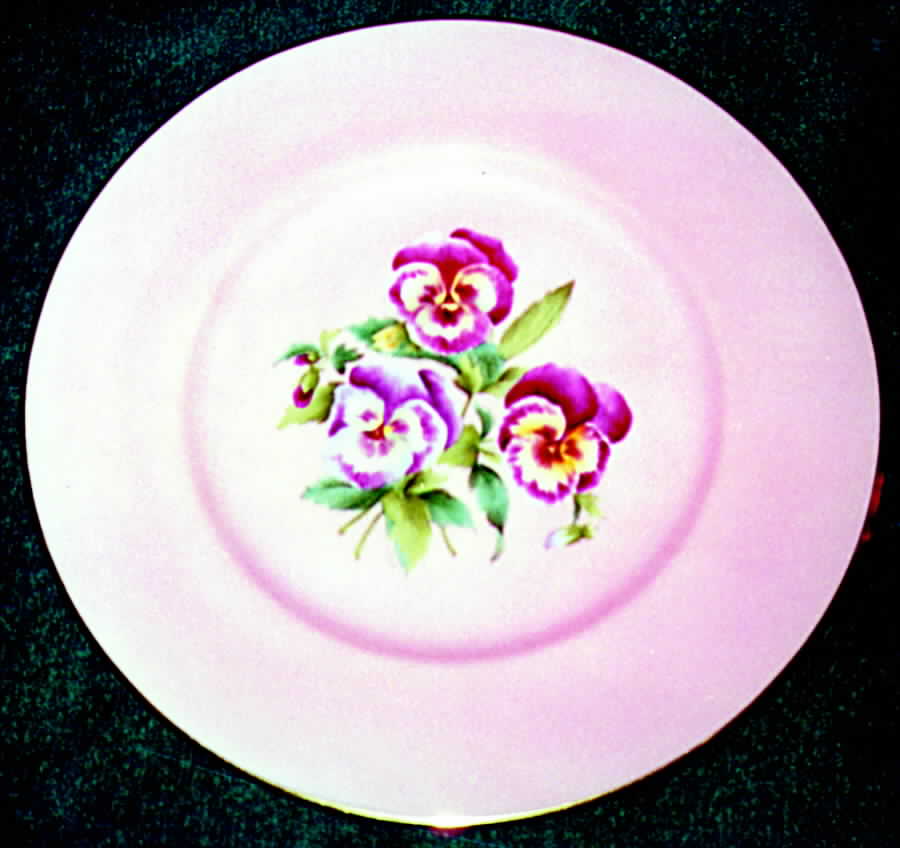Y6271 Dinner Plate by Spode-1