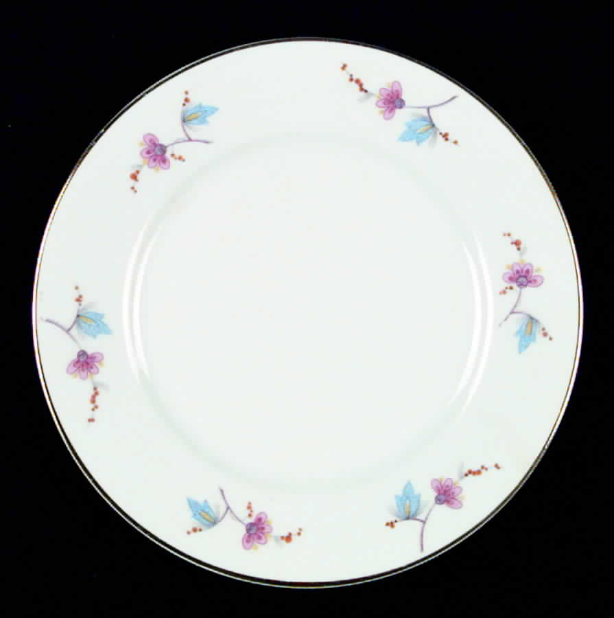 SCG7 Salad Plate by Schirnding-1
