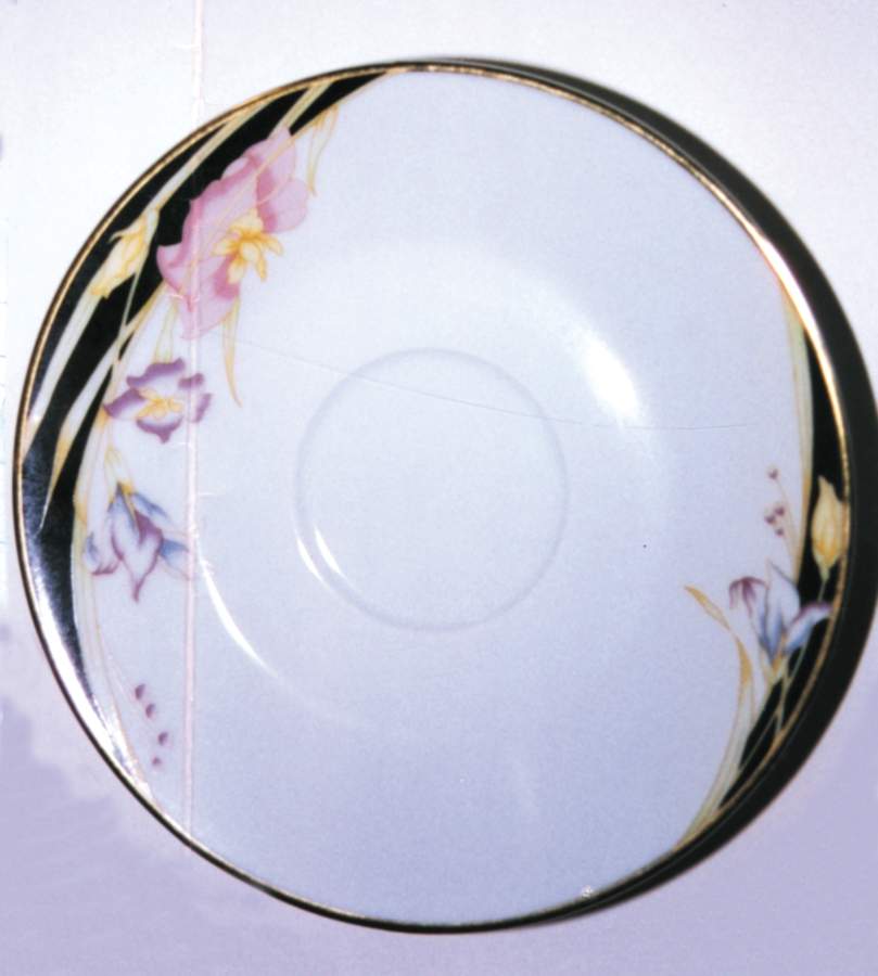Iris Saucer by Seizan-1