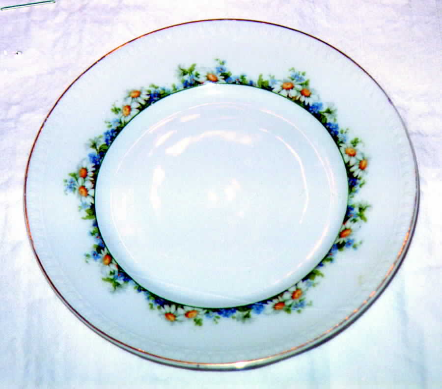 SIL25 Dinner Plate by Sil-1