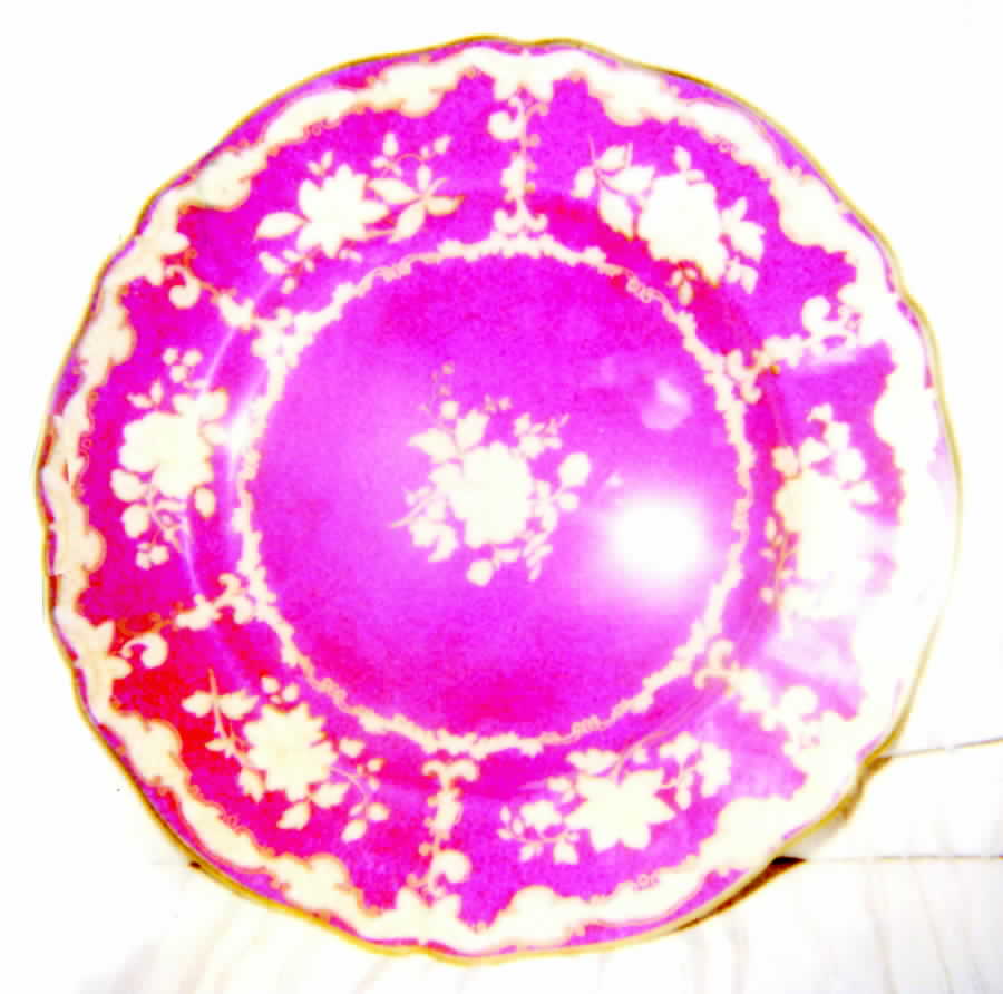 R9195 Dinner Plate by Spode-1