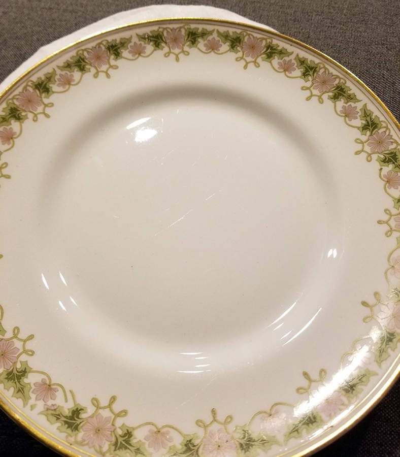 STB102 Luncheon Plate by Steubenville-1