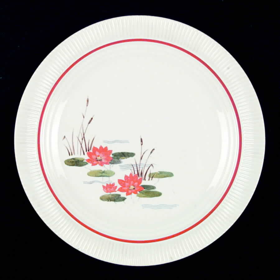 SLM119 Dinner Plate by Salem-1