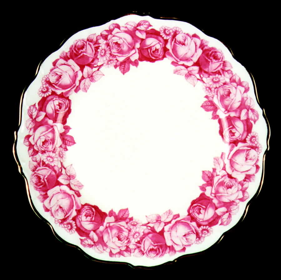 SCH141 Dinner Plate by Schumann - Bavaria-1