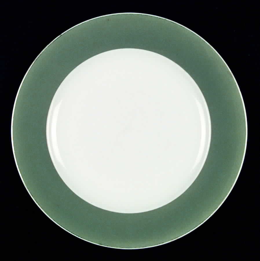 SY277 Dinner Plate by Syracuse-1