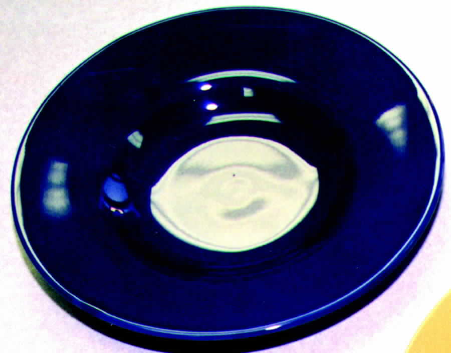 Sundance Blue Salad Plate by Signature-1