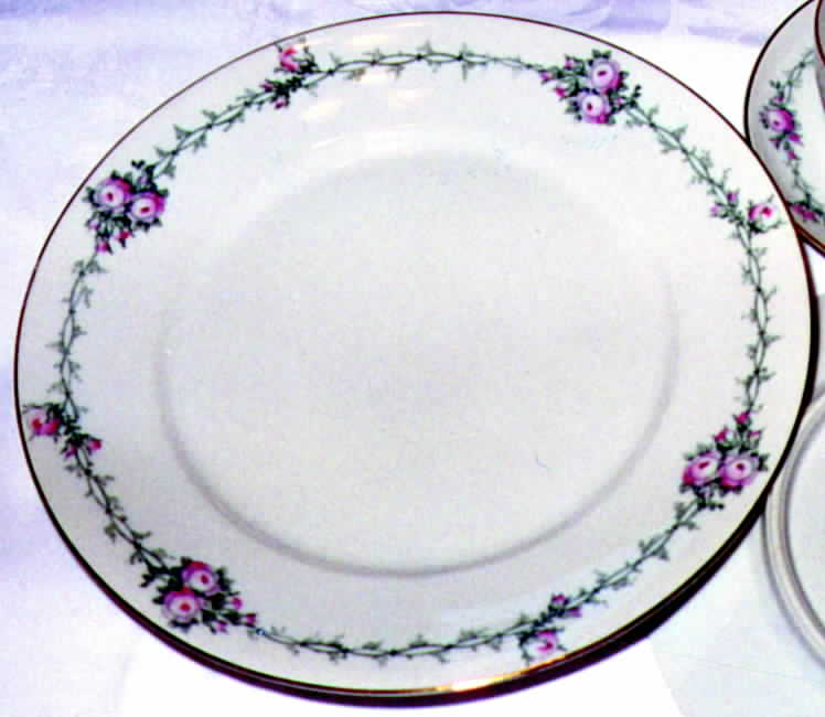 SCD14 Dinner Plate by Schonwald-1