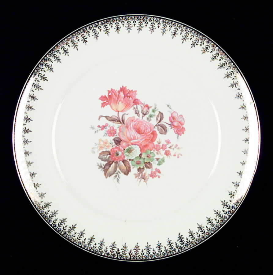 SLM123 Dinner Plate by Salem-1