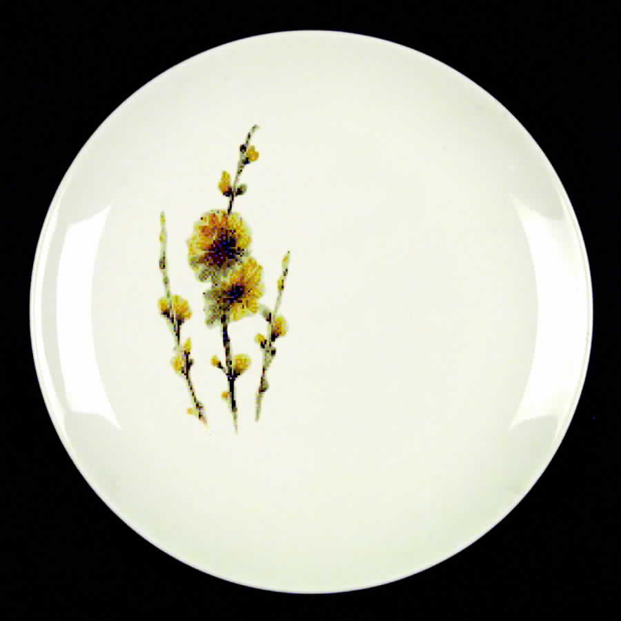 Summertime Dinner Plate by Steubenville-1