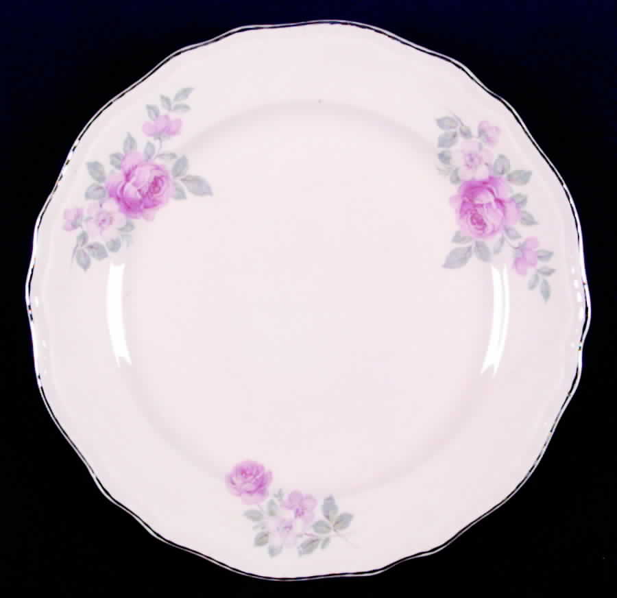 STB105 Dinner Plate by Steubenville-1