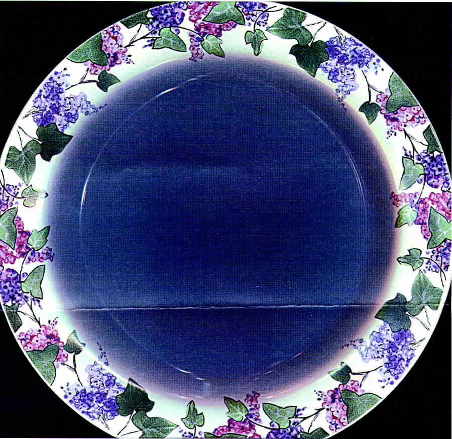 Lilac Dinner Plate by Stone Ridge (China)-1