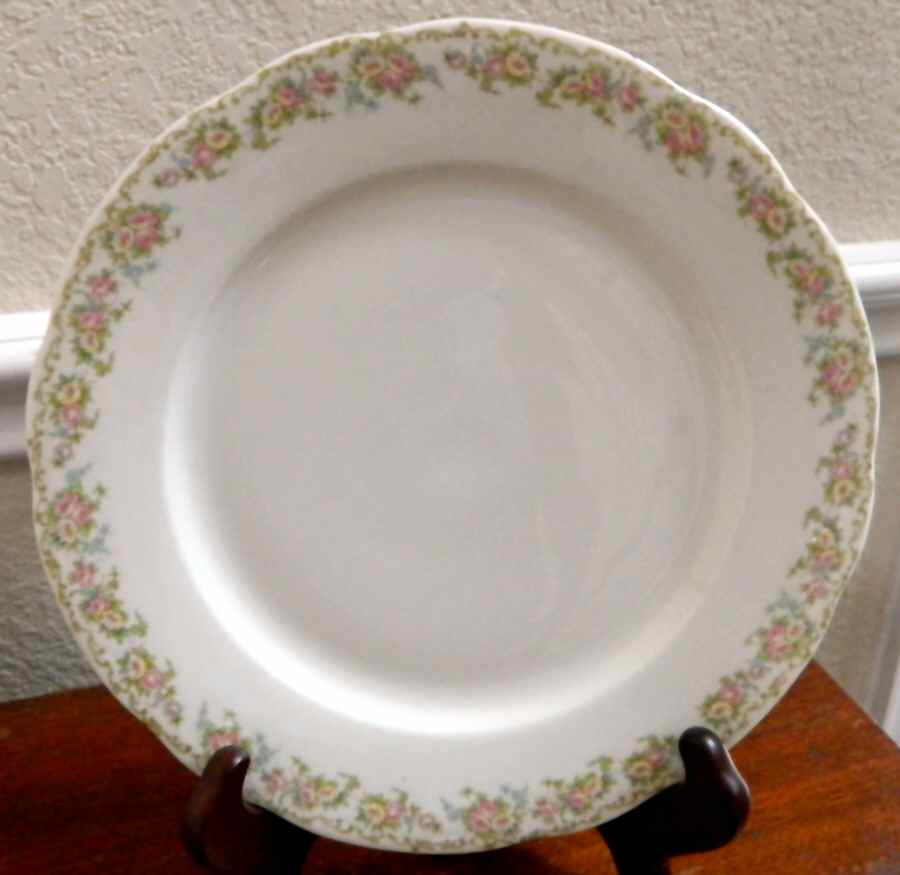 SY286 Dinner Plate by Syracuse-1