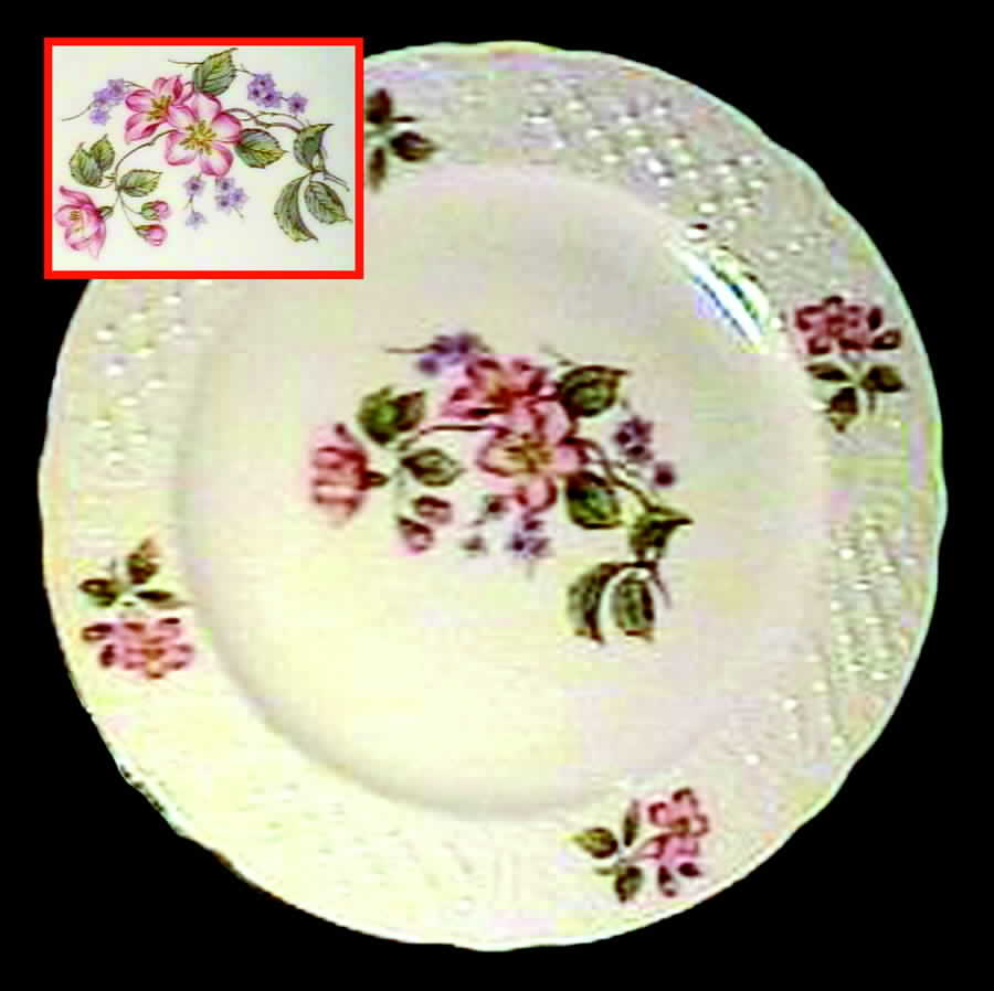 SCH145 Dinner Plate by Schumann - Bavaria-1
