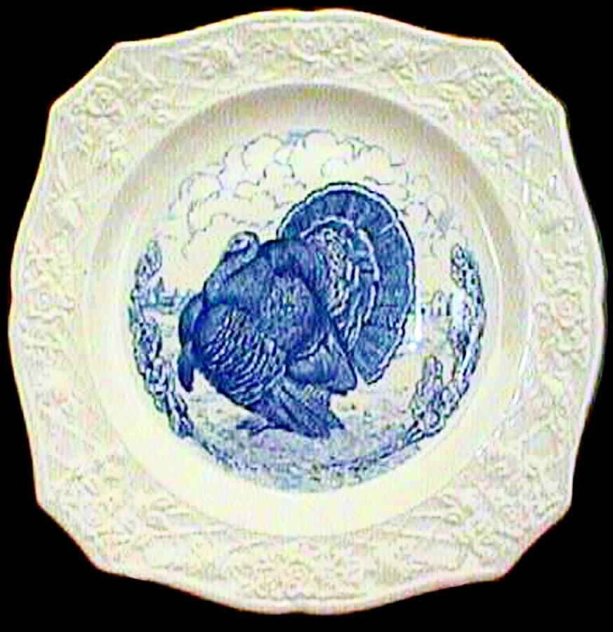 Turkey Plate (White Rim) Dinner Plate by Salem-1