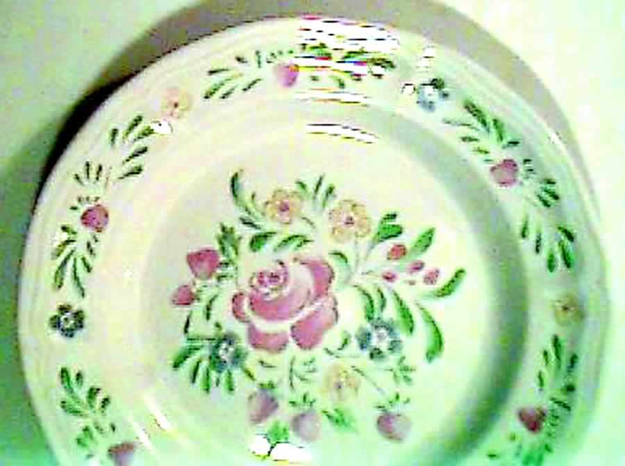 Catalina Dinner Plate by Signature-1