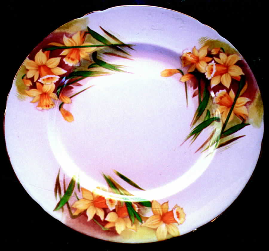 13677 Dinner Plate by Shelley-1