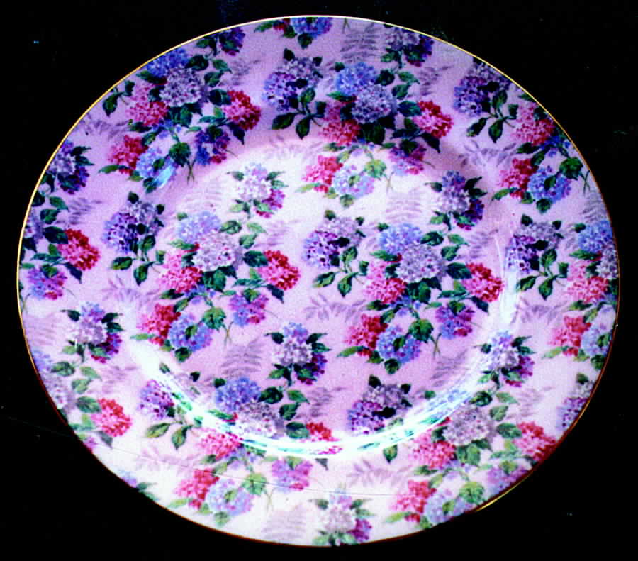 Summer Glory  Dinner Plate by Shelley-1