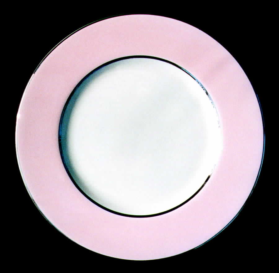 SHO91 Dinner Plate by Shenango-1