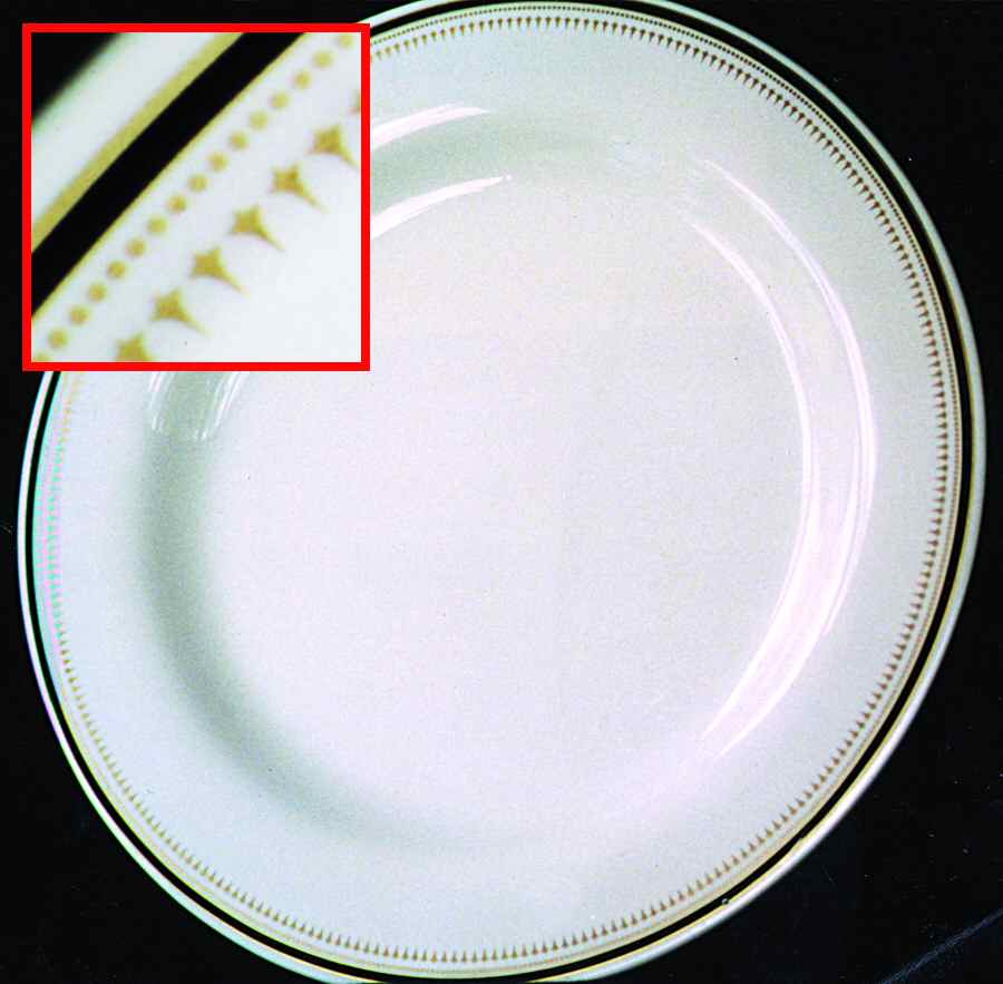 SY295 Dinner Plate by Syracuse-1