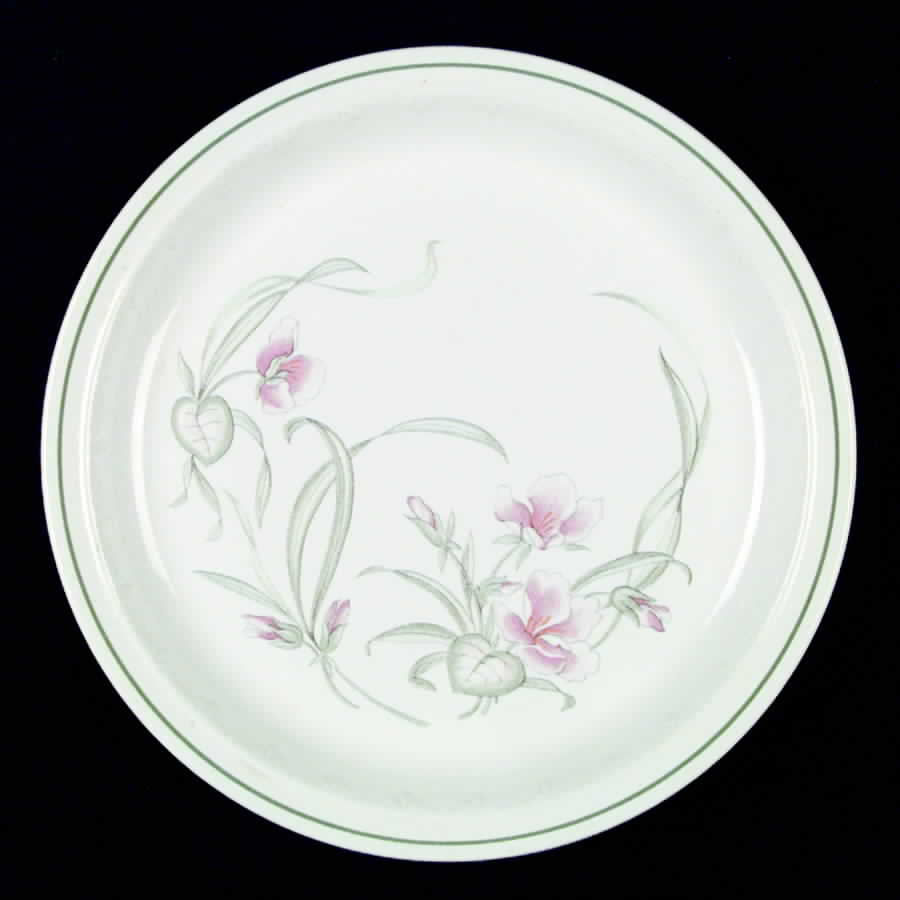 SPD2 Dinner Plate by Staffordshire Pottery-1