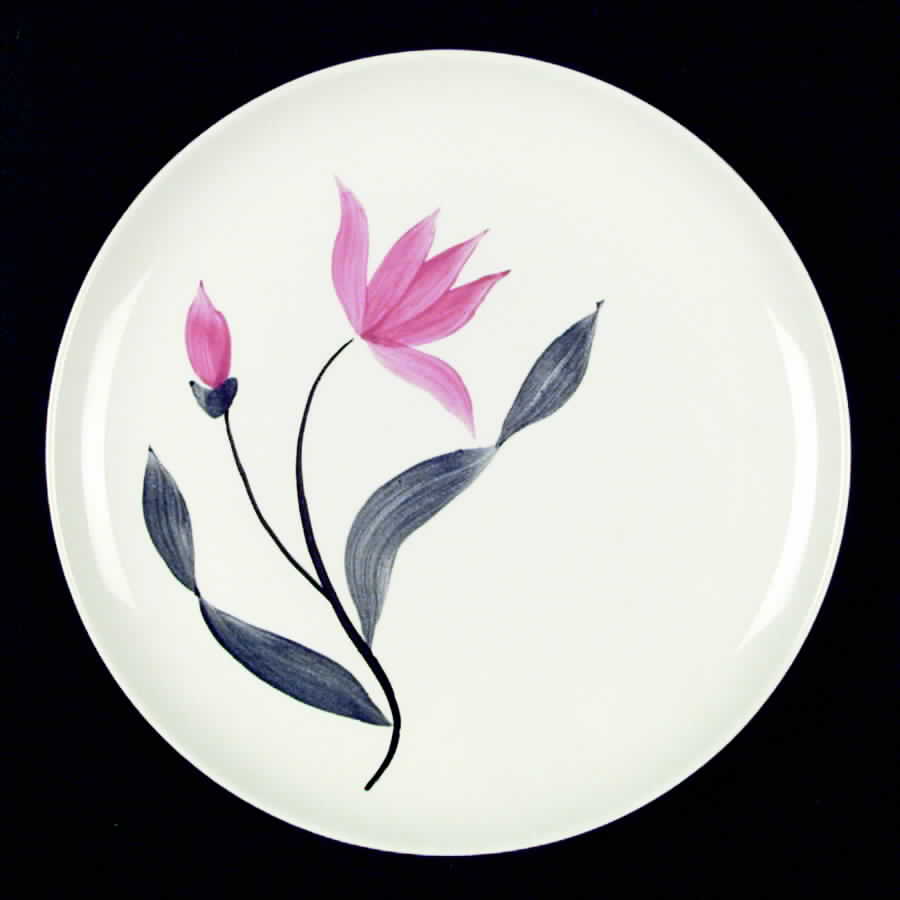 STT110 Dinner Plate by Stetson-1