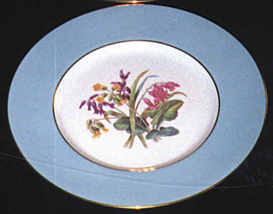 Garden Rose Dinner Plate by Spode-1