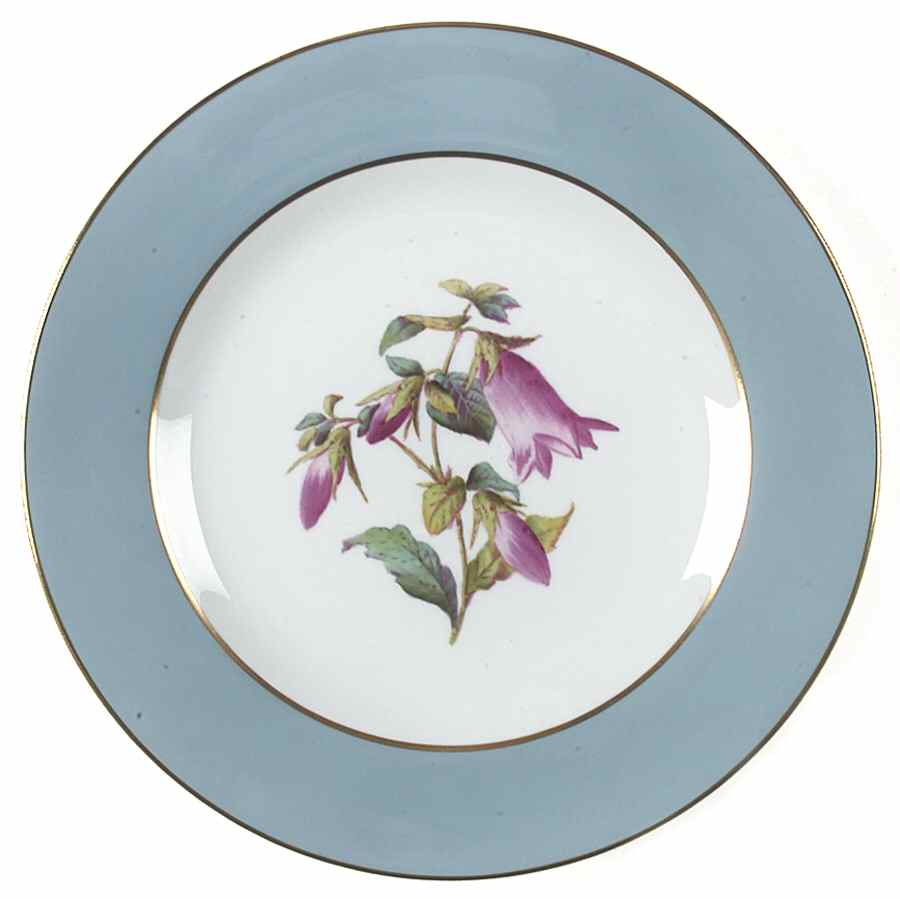 Garden Rose Luncheon Plate by Spode-1