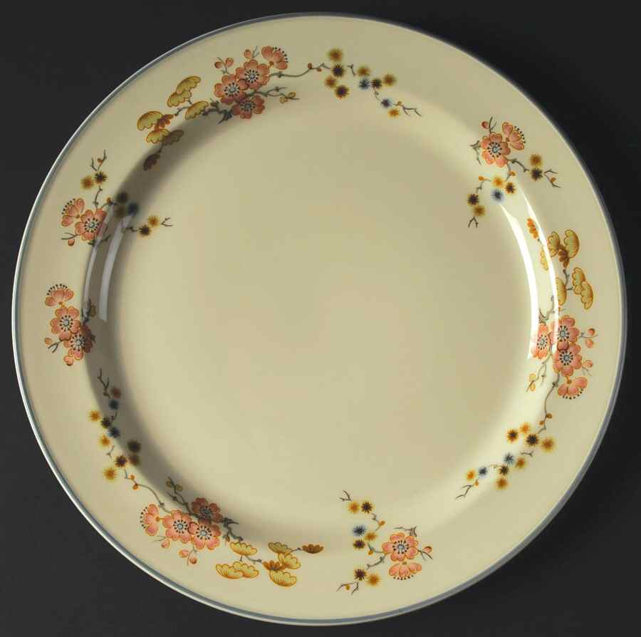 SLE11 Dinner Plate by Steelite-1