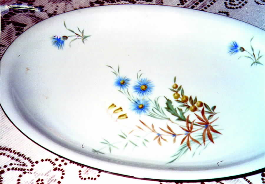 23638 14" Oval Serving Platter by Seltmann-1