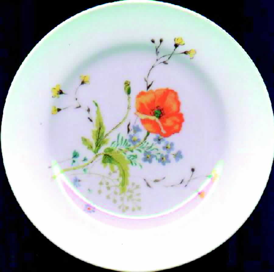 SON35 Dinner Plate by Sone-1