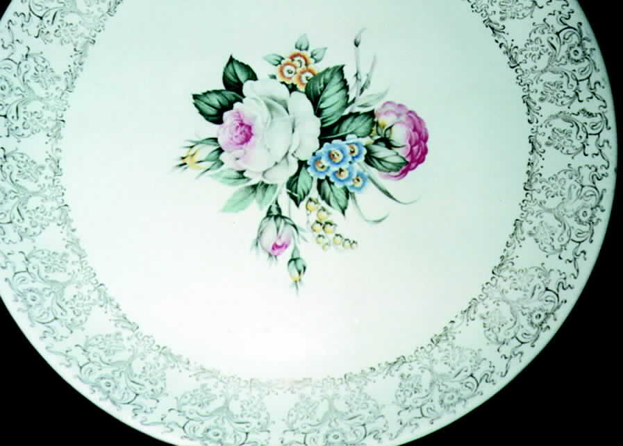 SLM134 Dinner Plate by Salem-1